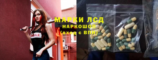 крисы Новодвинск