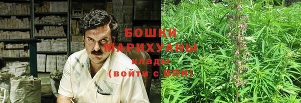 крисы Новодвинск