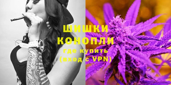 крисы Новодвинск