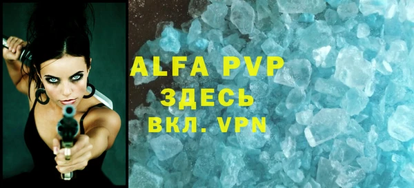 крисы Новодвинск