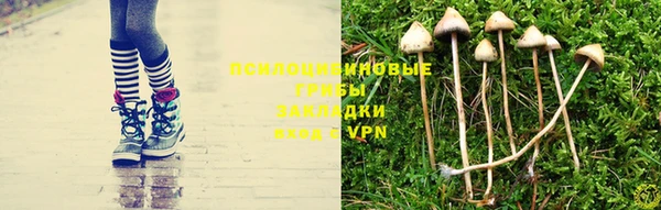 крисы Новодвинск
