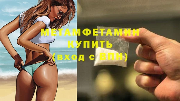 крисы Новодвинск