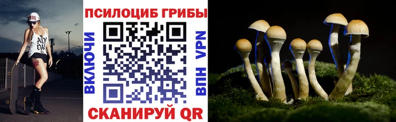 Псилоцибиновые грибы ЛСД  дарнет шоп  Южа 